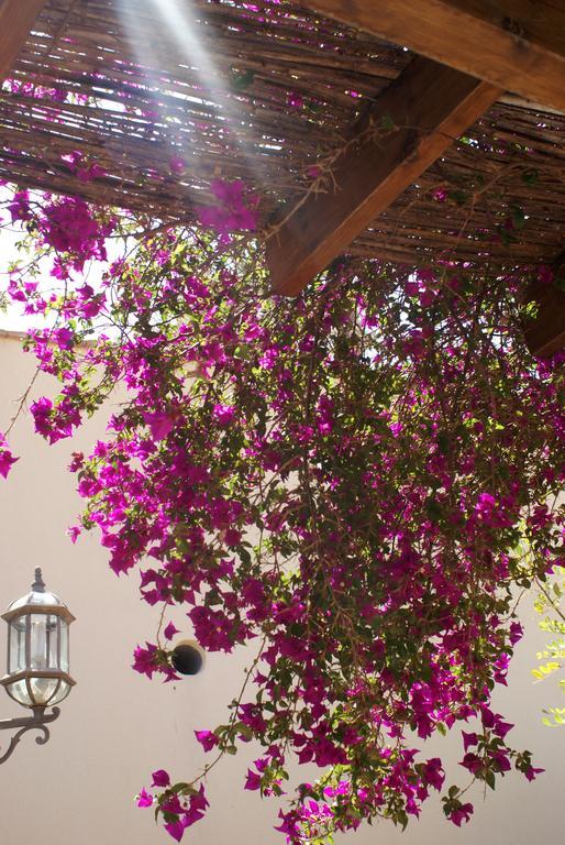 Hotel Mayari Calabardina Exterior photo