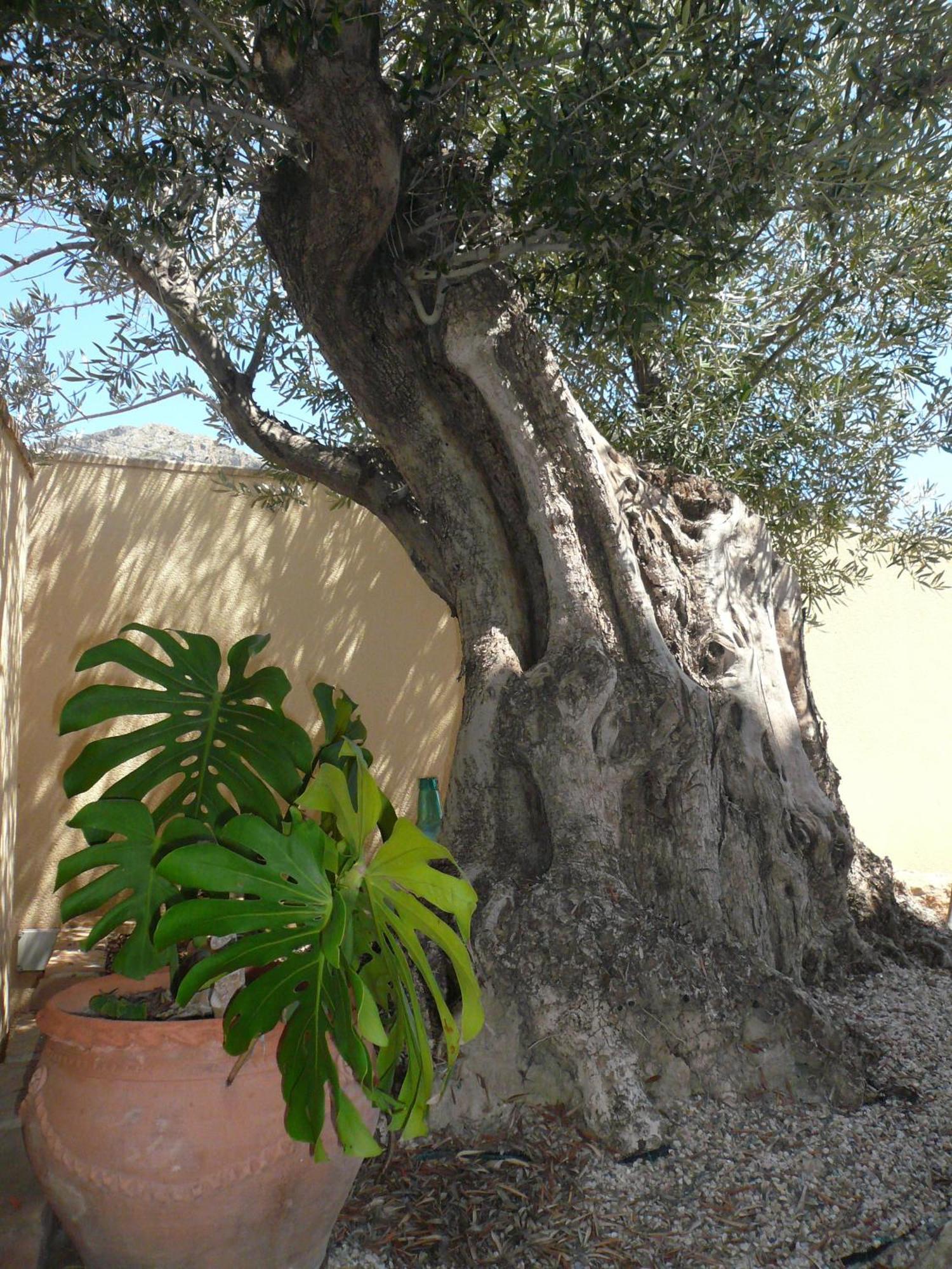 Hotel Mayari Calabardina Exterior photo